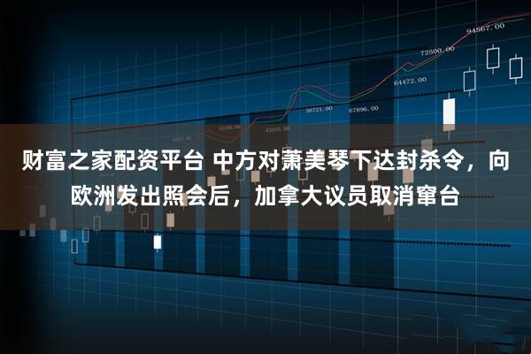 财富之家配资平台 中方对萧美琴下达封杀令，向欧洲发出照会后，加拿大议员取消窜台