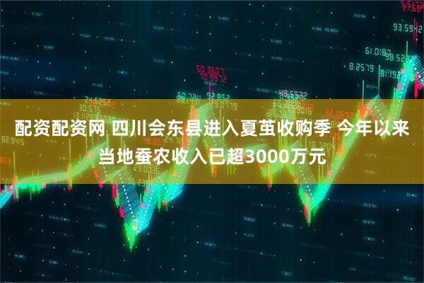 配资配资网 四川会东县进入夏茧收购季 今年以来当地蚕农收入已超3000万元