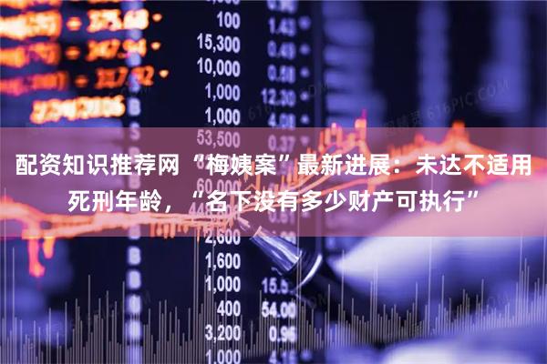 配资知识推荐网 “梅姨案”最新进展：未达不适用死刑年龄，“名下没有多少财产可执行”